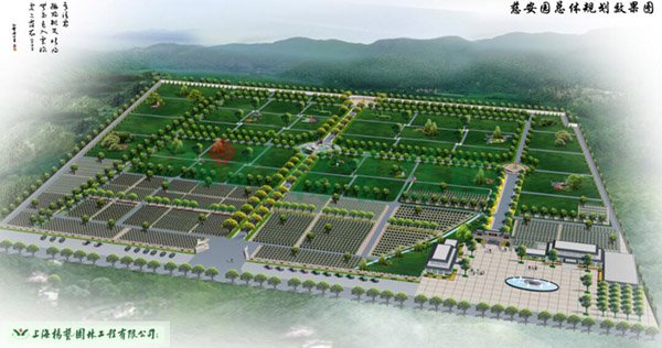 九五至尊VI-老品牌值得信任!