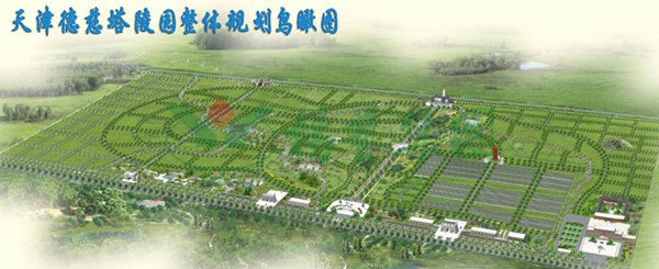 九五至尊VI-老品牌值得信任!