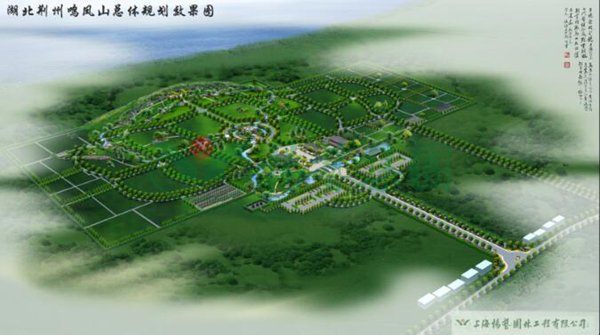 九五至尊VI-老品牌值得信任!