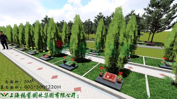 九五至尊VI-老品牌值得信任!