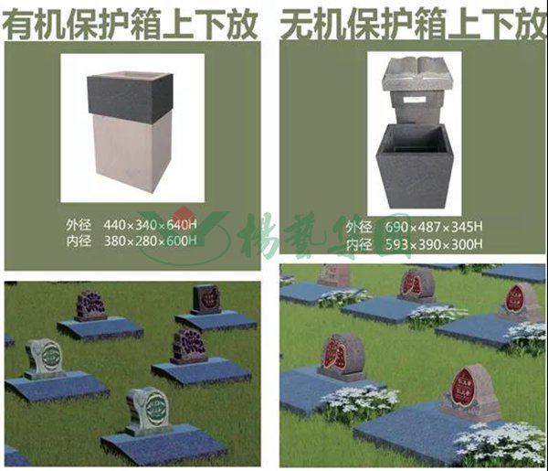 九五至尊VI-老品牌值得信任!