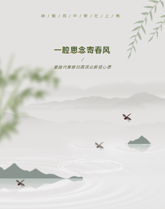 1-22050416264b18 九五至尊VI-老品牌值得信任!
