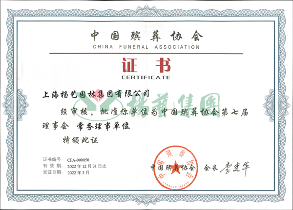 九五至尊VI-老品牌值得信任!