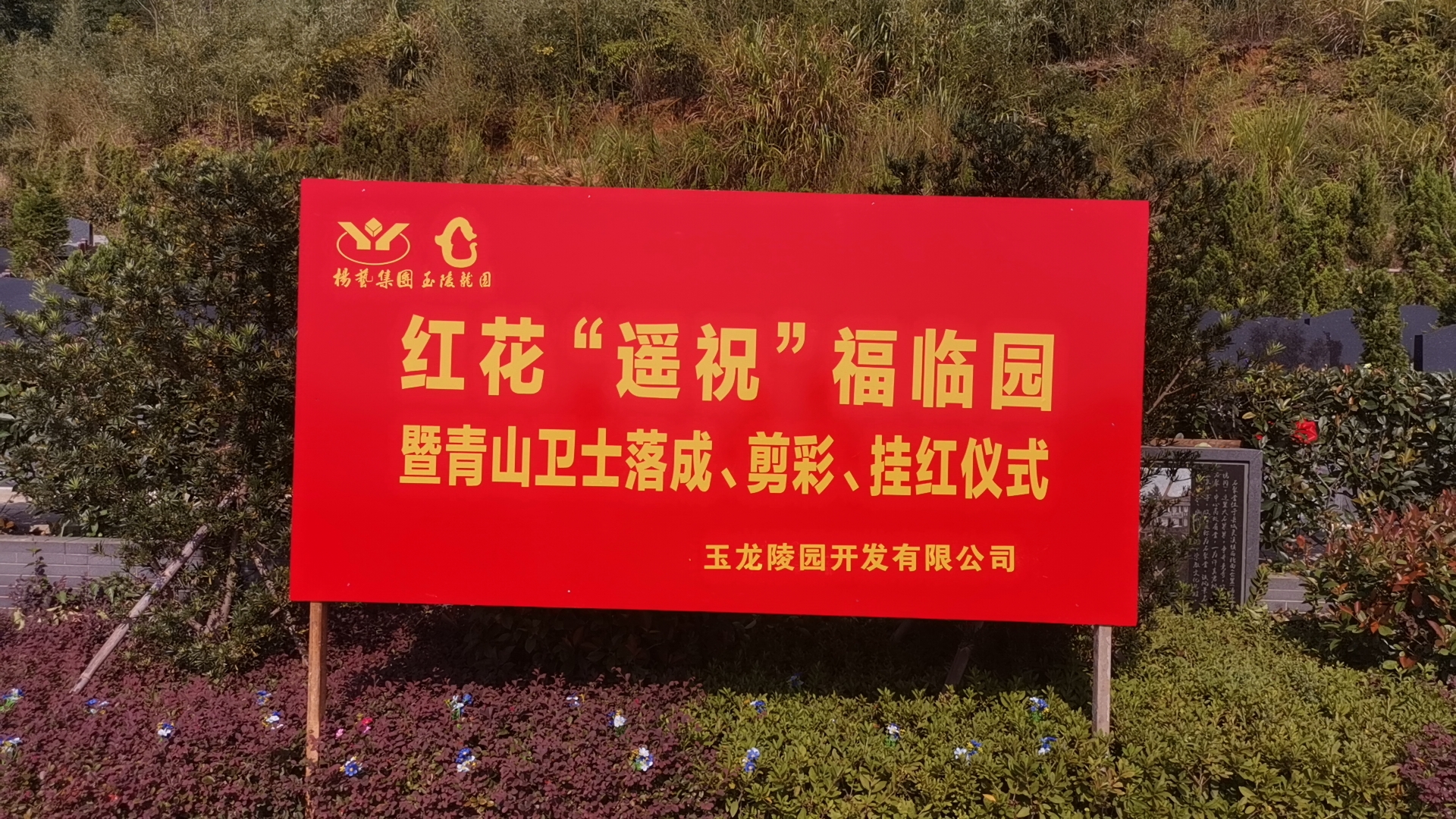 红花传爱意，情满玉龙园！