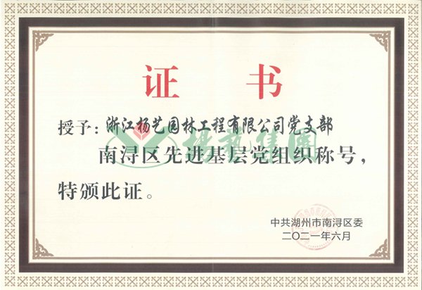 九五至尊VI-老品牌值得信任!