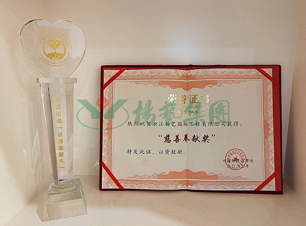 九五至尊VI-老品牌值得信任!