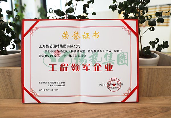 九五至尊VI-老品牌值得信任!
