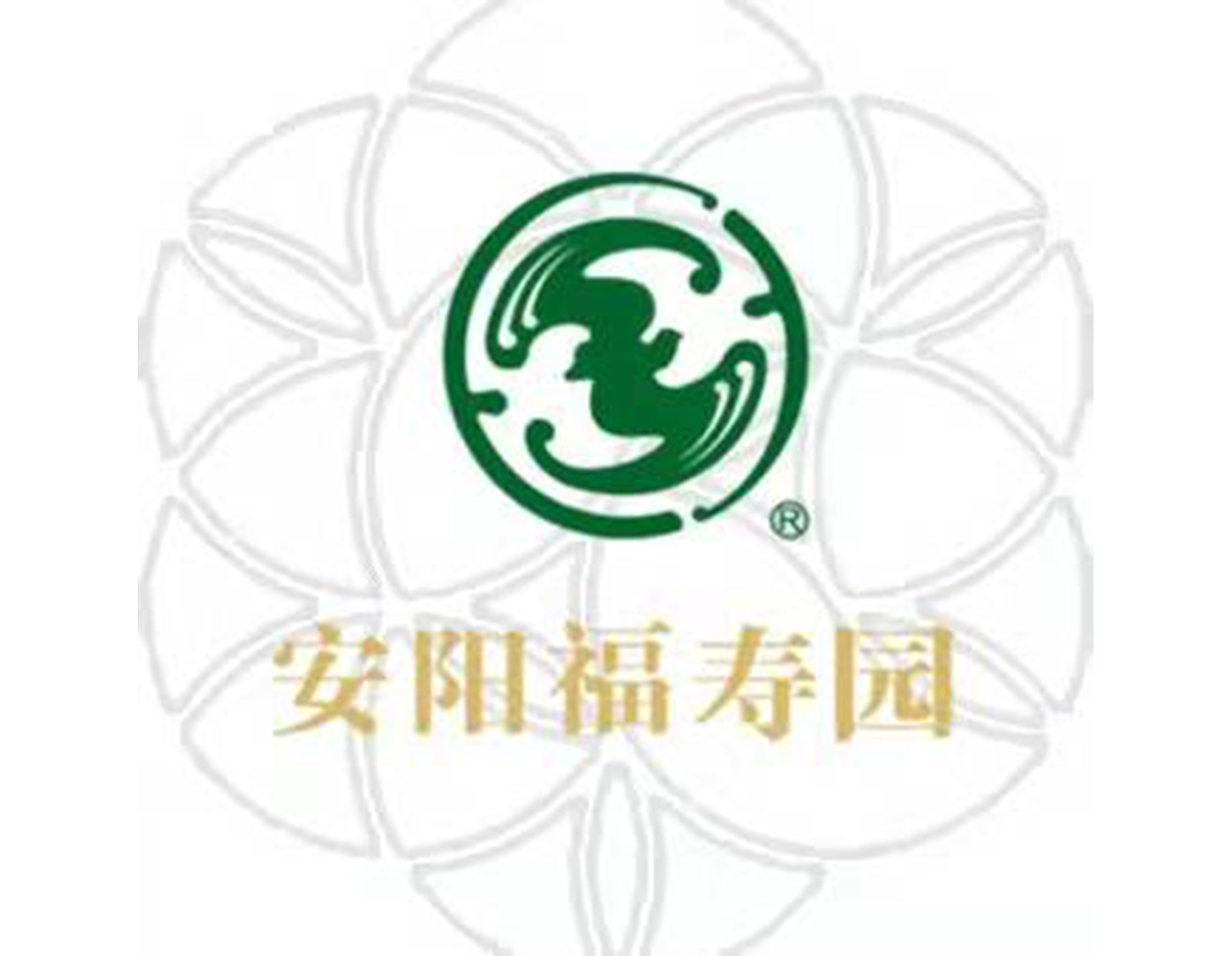 九五至尊VI-老品牌值得信任!