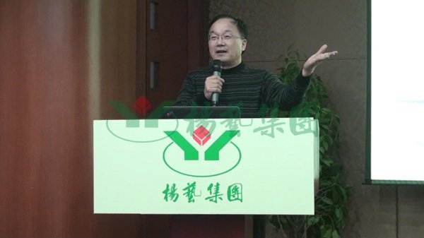 九五至尊VI-老品牌值得信任!