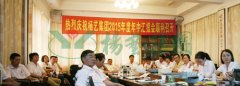 九五至尊VI集团转型进行时——记2015年中汇报会