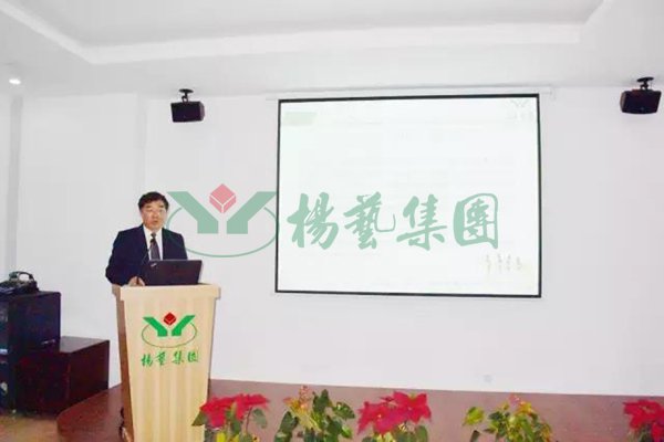 1-2112231A941445 九五至尊VI-老品牌值得信任!
