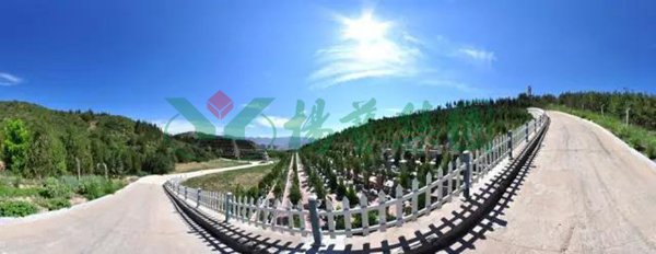 九五至尊VI-老品牌值得信任!