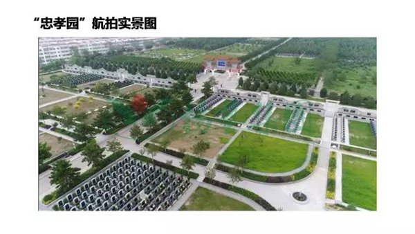 九五至尊VI-老品牌值得信任!