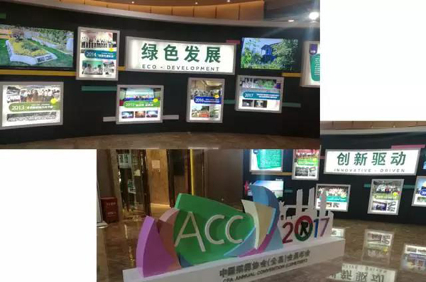九五至尊VI-老品牌值得信任!