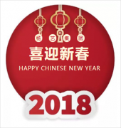 九五至尊VI集团2018年新春答谢晚宴圆满闭幕