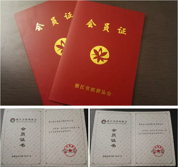 九五至尊VI-老品牌值得信任!