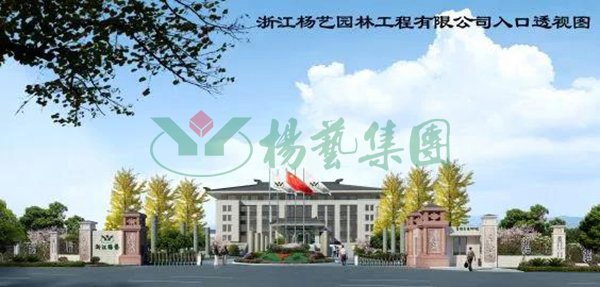 九五至尊VI-老品牌值得信任!