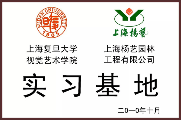 九五至尊VI-老品牌值得信任!