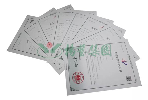 九五至尊VI-老品牌值得信任!