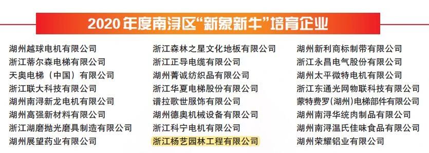 九五至尊VI-老品牌值得信任!