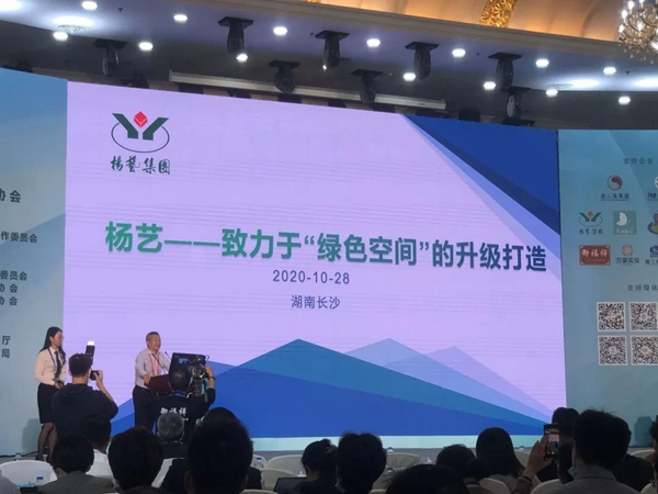 九五至尊VI-老品牌值得信任!