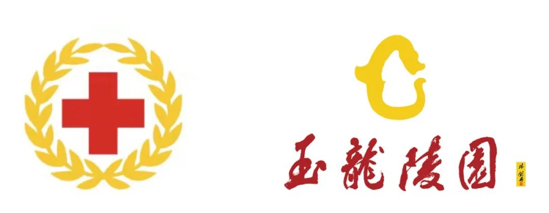 九五至尊VI-老品牌值得信任!