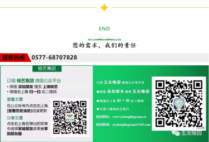 九五至尊VI-老品牌值得信任!
