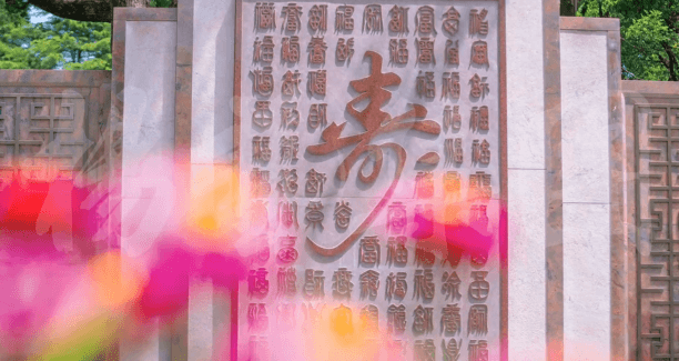 九五至尊VI-老品牌值得信任!