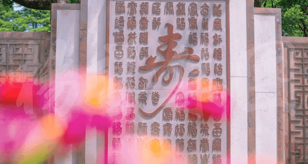九五至尊VI-老品牌值得信任!