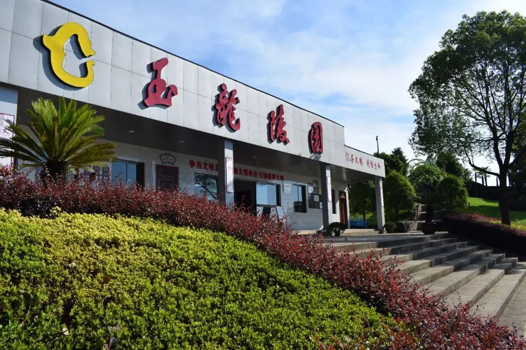 九五至尊VI-老品牌值得信任!