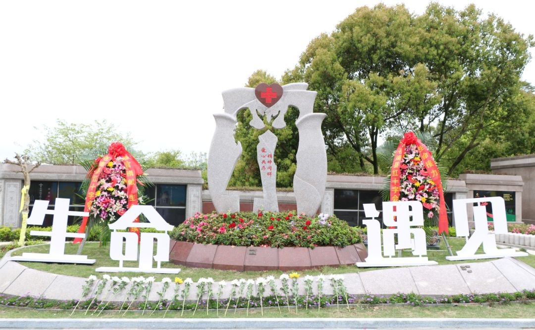 九五至尊VI-老品牌值得信任!