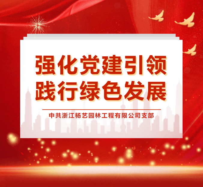 九五至尊VI-老品牌值得信任!