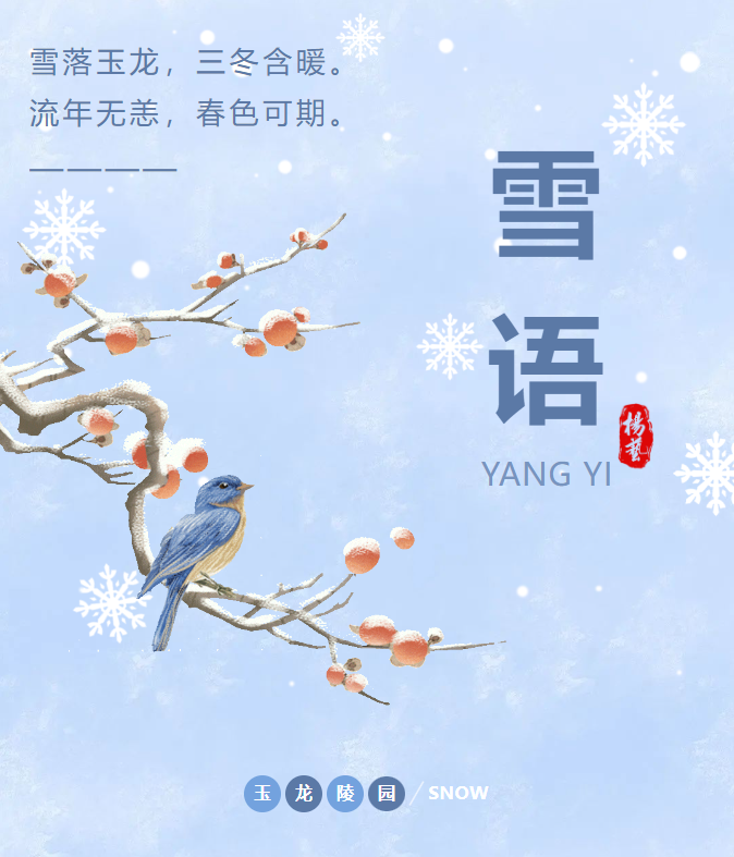 九五至尊VI-老品牌值得信任!
