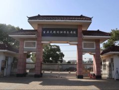 微刷新，为老墓园增添一抹新“绿”