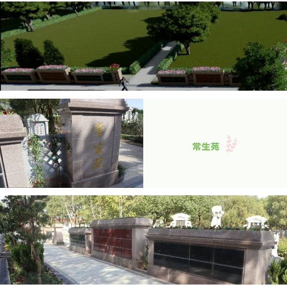 九五至尊VI-老品牌值得信任!