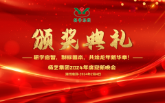 2024年九五至尊VI集团迎新春年会暨颁奖典礼盛猛进行