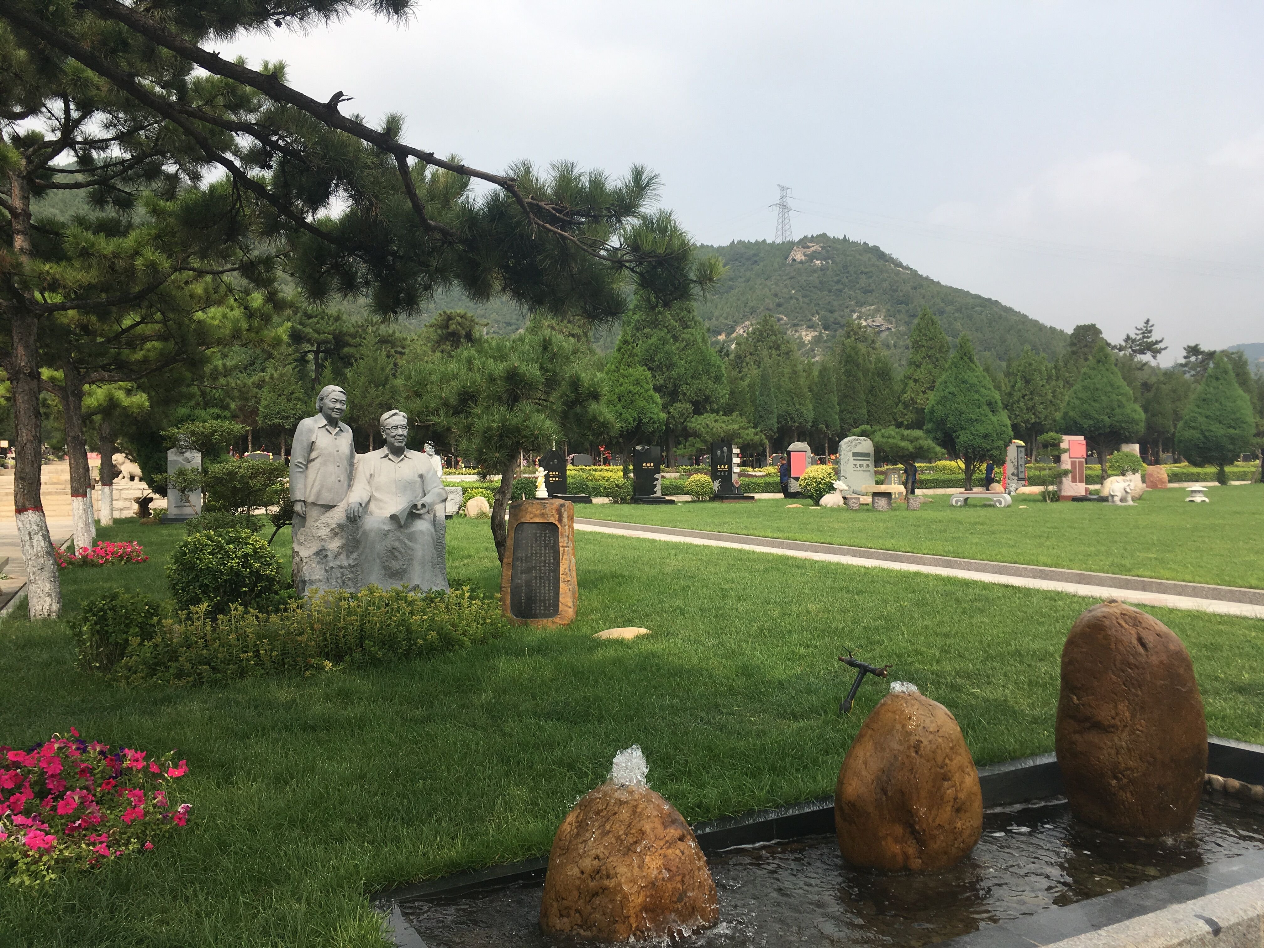 九五至尊VI-老品牌值得信任!