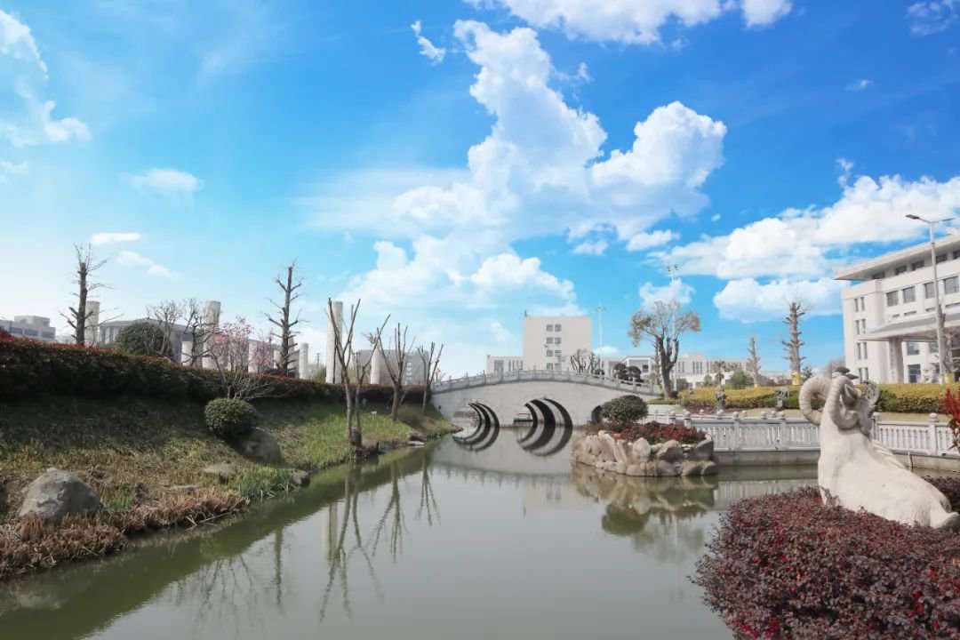 九五至尊VI-老品牌值得信任!