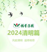风起清明 遥寄相思|九五至尊VI集团?2024清明篇