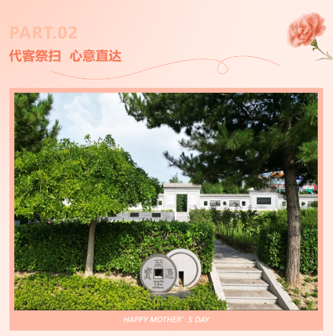 九五至尊VI-老品牌值得信任!