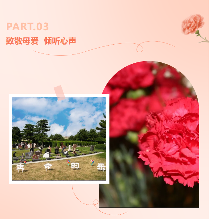 九五至尊VI-老品牌值得信任!