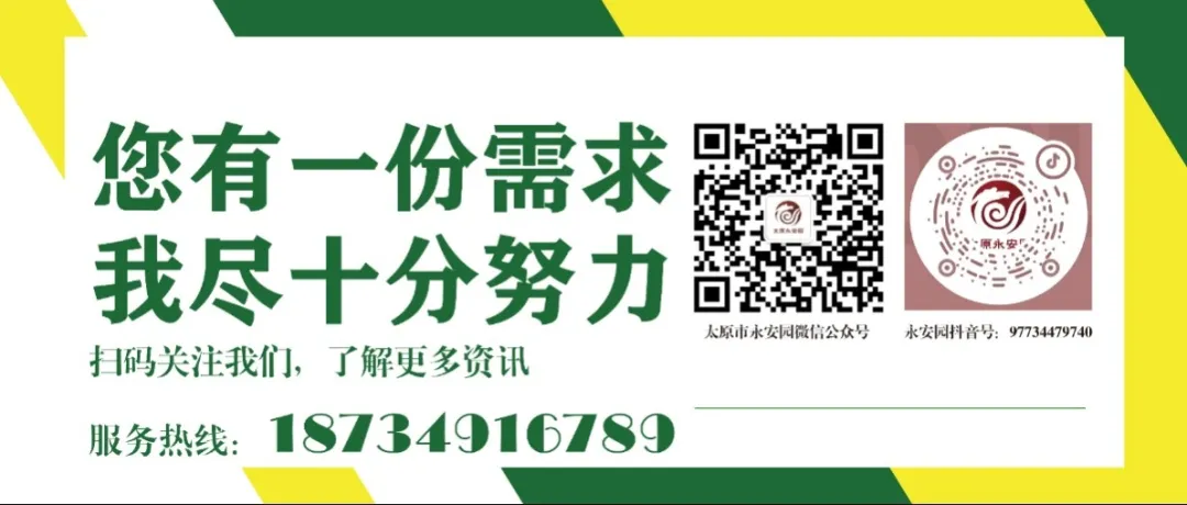 九五至尊VI-老品牌值得信任!