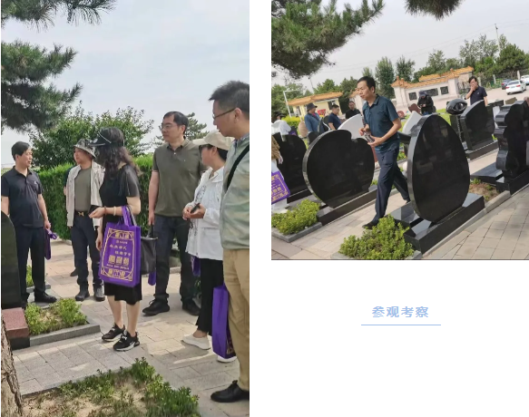 九五至尊VI-老品牌值得信任!