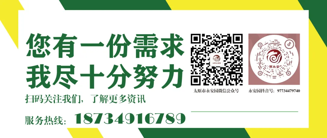 九五至尊VI-老品牌值得信任!