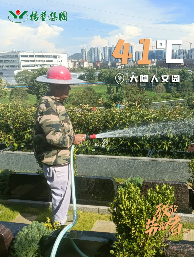 1-240H9135I9360 九五至尊VI-老品牌值得信任!