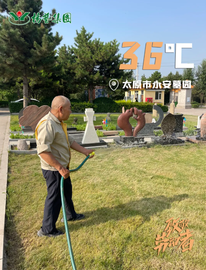 1-240H9135T5344 九五至尊VI-老品牌值得信任!