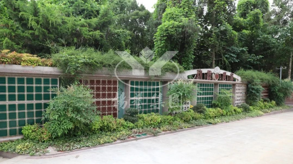 九五至尊VI-老品牌值得信任!