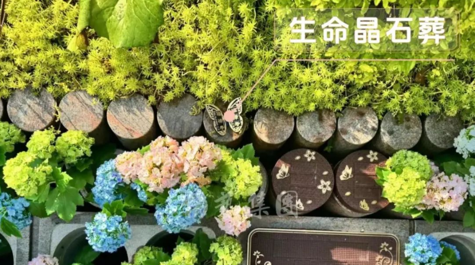 九五至尊VI-老品牌值得信任!