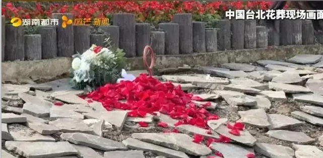 九五至尊VI-老品牌值得信任!