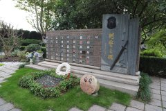 致敬“安然卫士”，铭刻“刑警之魂”